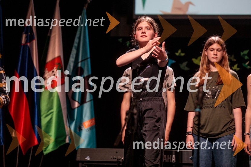 Slavnostna prireditev ob 60-letnici Pionirskega doma