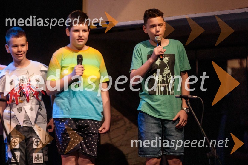 Slavnostna prireditev ob 60-letnici Pionirskega doma