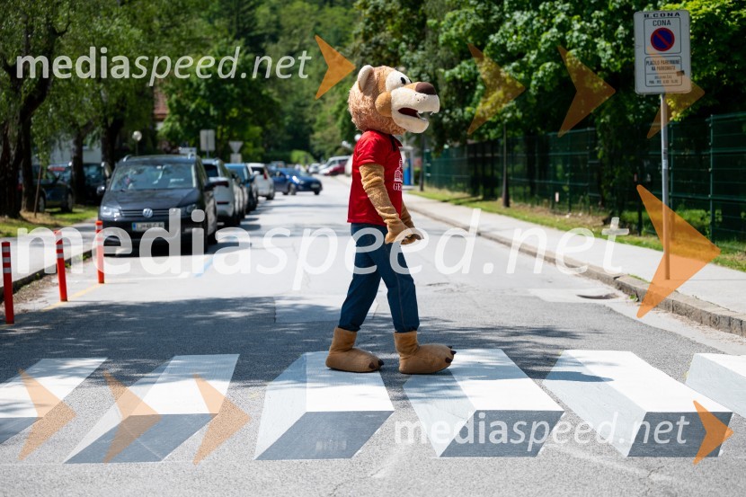 Prva 3D zebra v Celju