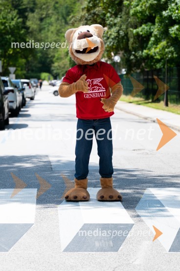 Prva 3D zebra v Celju