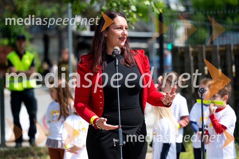 Prva 3D zebra v Celju