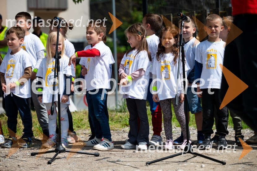 Prva 3D zebra v Celju