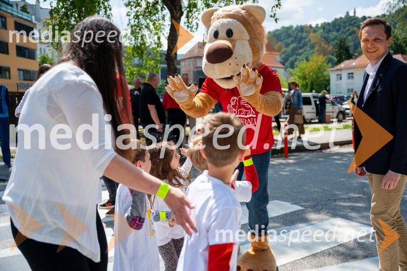 Prva 3D zebra v Celju