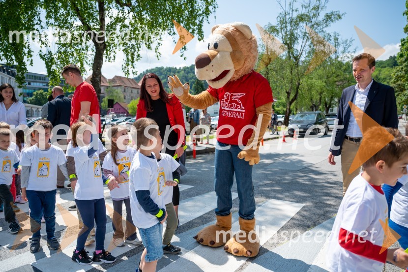 Prva 3D zebra v Celju