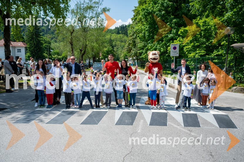 Prva 3D zebra v Celju