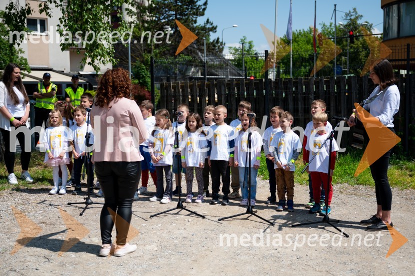 Prva 3D zebra v Celju