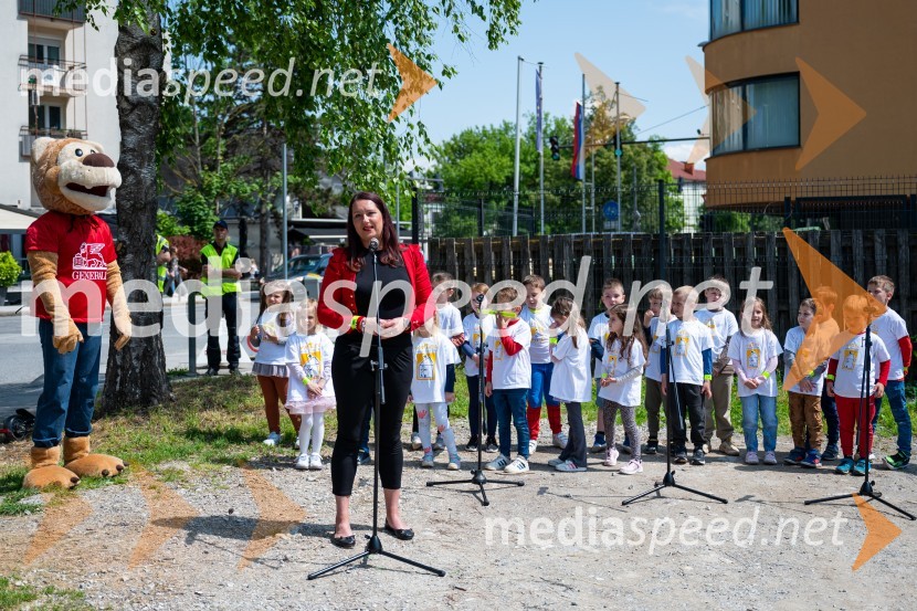 Prva 3D zebra v Celju