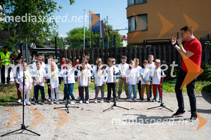 Prva 3D zebra v Celju