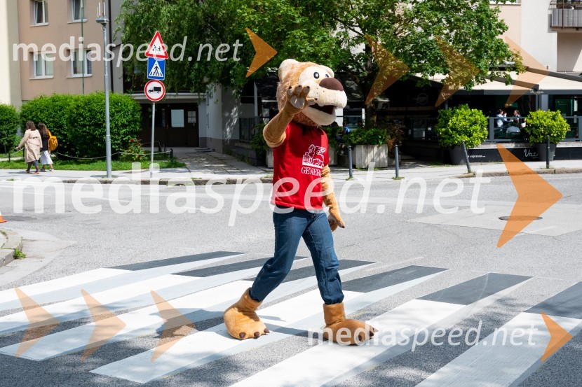 Prva 3D zebra v Celju