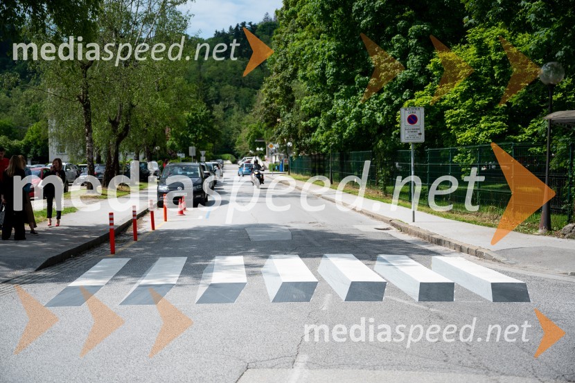 Prva 3D zebra v Celju