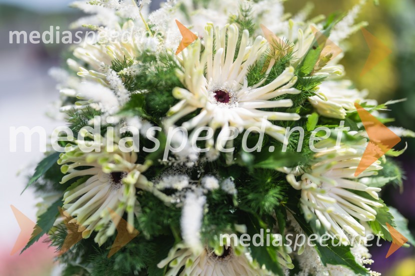 Dnevi dediščine evropskih pokopališč