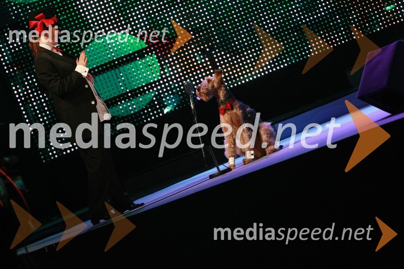 Viktorji 2008, dogajanje na odru in v dvorani