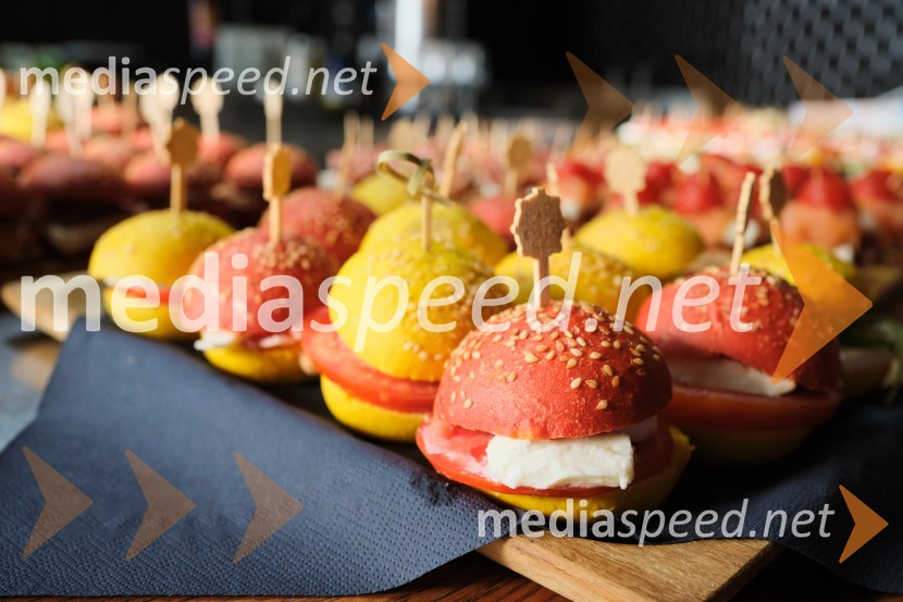 Proslava Odvetniške družbe Cukrov - akustični koncert Ditke