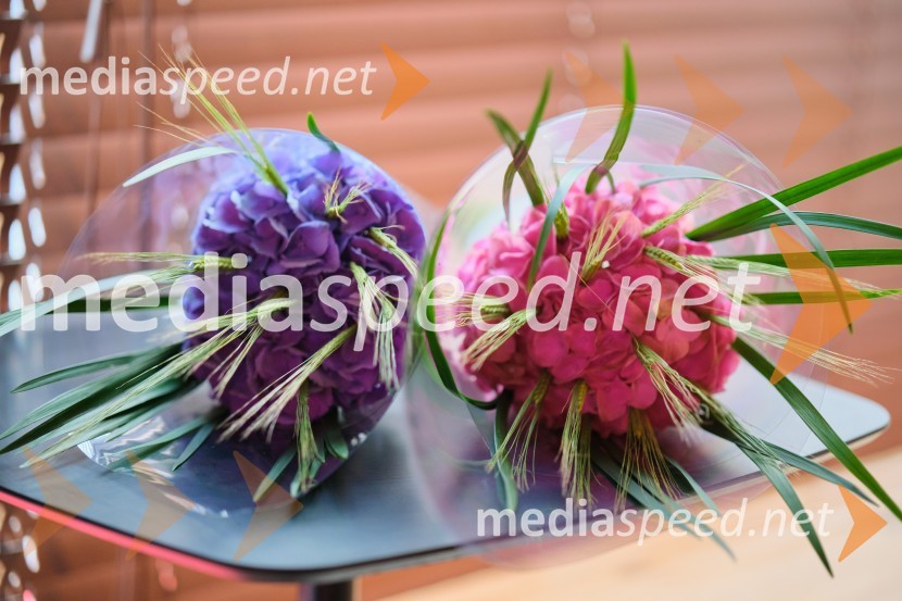 Proslava Odvetniške družbe Cukrov - akustični koncert Ditke