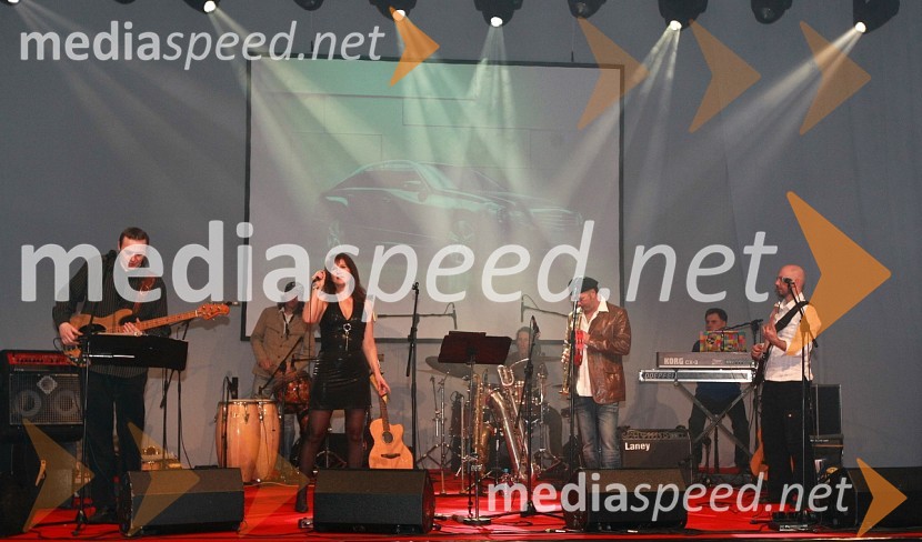 Viktorji 2008, zaključna zabava na Gospodarskem razstavišču