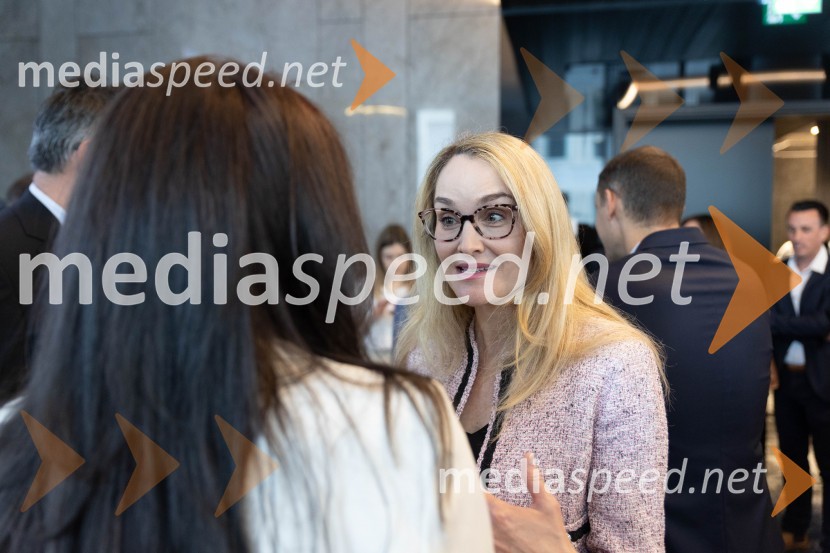  Maja Čander, kreativna direktorica in prokuristka, Kreativna bazaUstanovitvena seja Platforme sodelovanja, Anže Logar