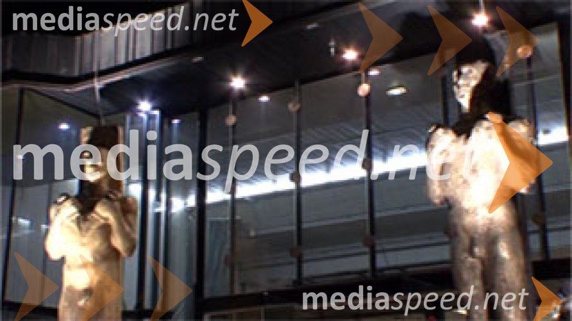 Viktorji 2008, mreženje in razkazovanje pred dvoranoViktorji 2008, druženje pred dvorano