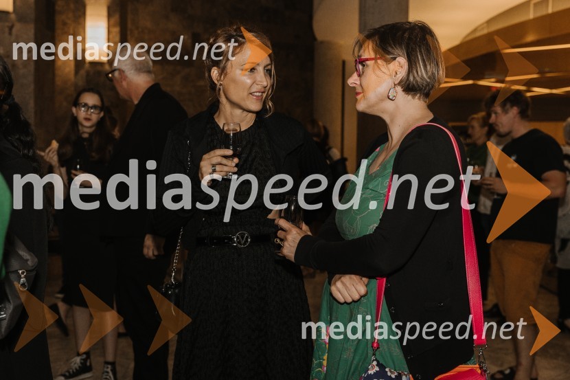 To the moon and back, premiera v SNG Nova Gorica