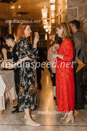 To the moon and back, premiera v SNG Nova Gorica