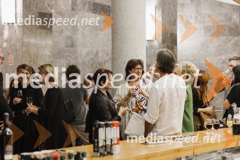 To the moon and back, premiera v SNG Nova Gorica