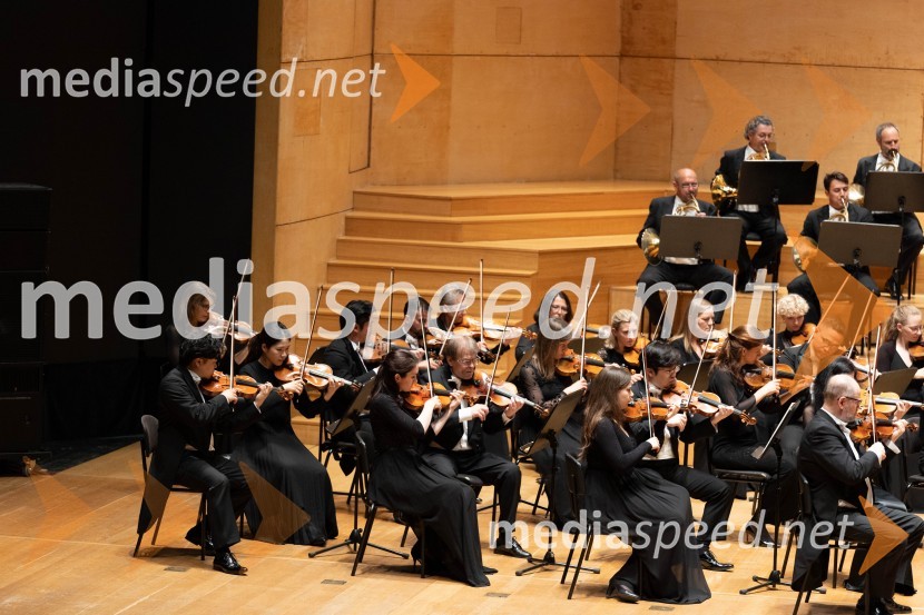 Sezono zlatega abonmaja v Cankarjevem domu sklenil Orkester Tonkünstler