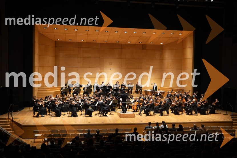 Sezono zlatega abonmaja v Cankarjevem domu sklenil Orkester Tonkünstler