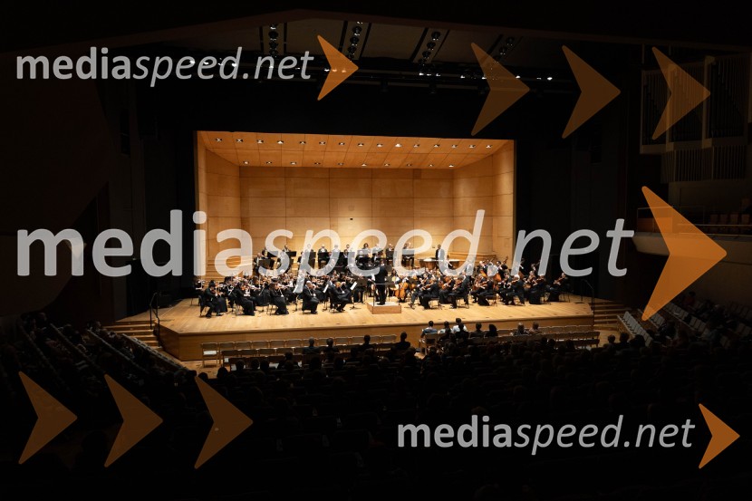 Sezono zlatega abonmaja v Cankarjevem domu sklenil Orkester Tonkünstler