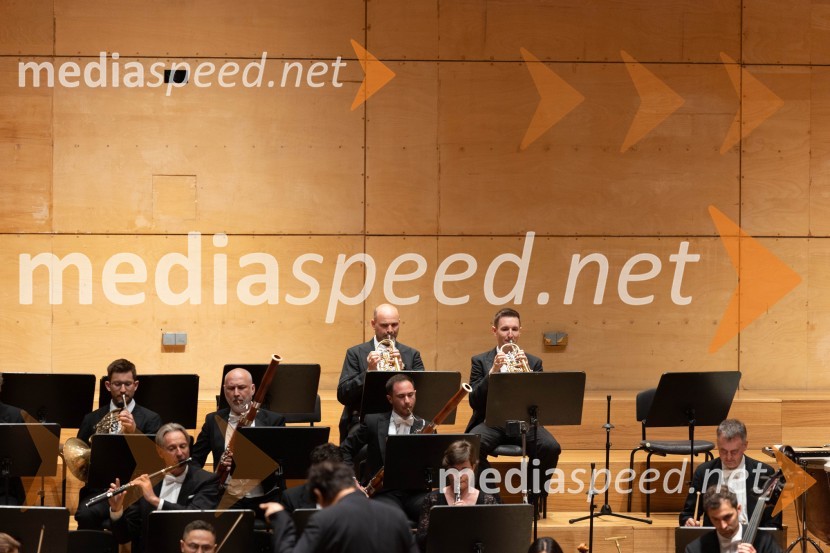 Sezono zlatega abonmaja v Cankarjevem domu sklenil Orkester Tonkünstler