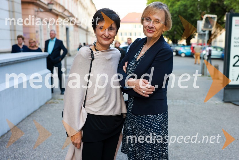 58. Borštnikovo srečanje, slavnostna otvoritev s predstavo La Tempesta / Vihar