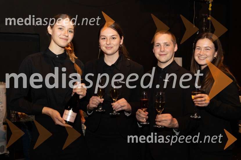 Striček Vanja, premiera v SNG Drama Ljubljana