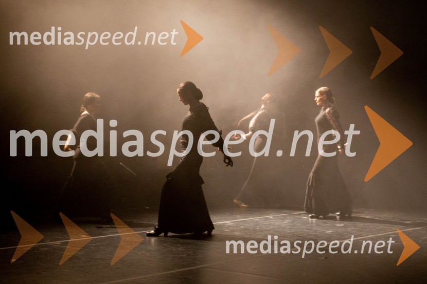  Ana PopovićOdlaganje spominov, plesno glasbena suita