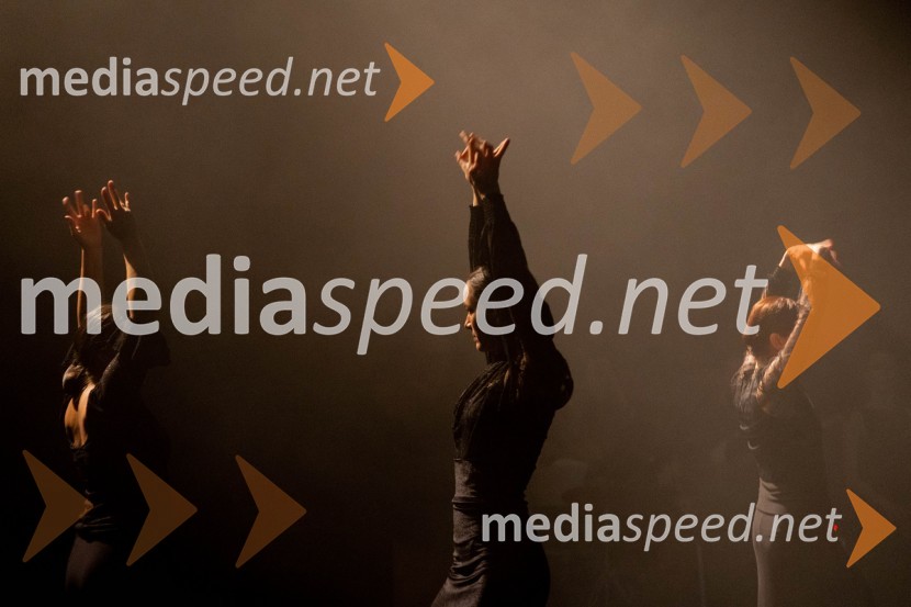  Ana PopovićOdlaganje spominov, plesno glasbena suita