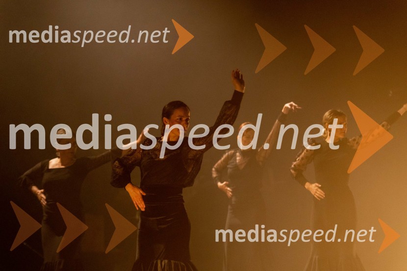  Ana PopovićOdlaganje spominov, plesno glasbena suita