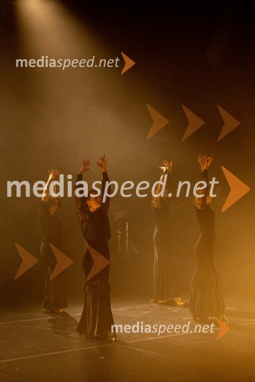  Ana PopovićOdlaganje spominov, plesno glasbena suita