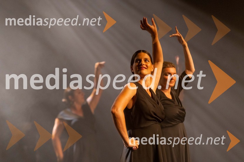  Ana Strnad Hočevar, novinarkaOdlaganje spominov, plesno glasbena suita