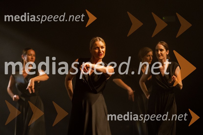 Odlaganje spominov, plesno glasbena suita