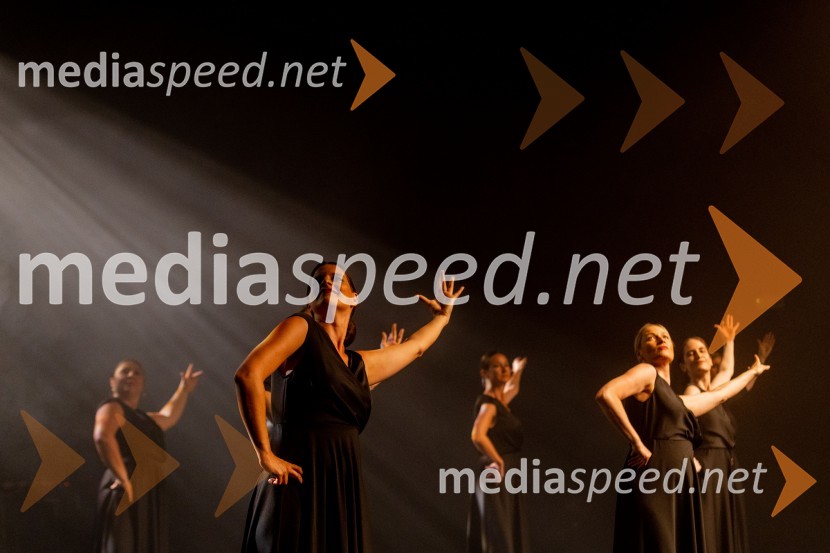 Odlaganje spominov, plesno glasbena suita