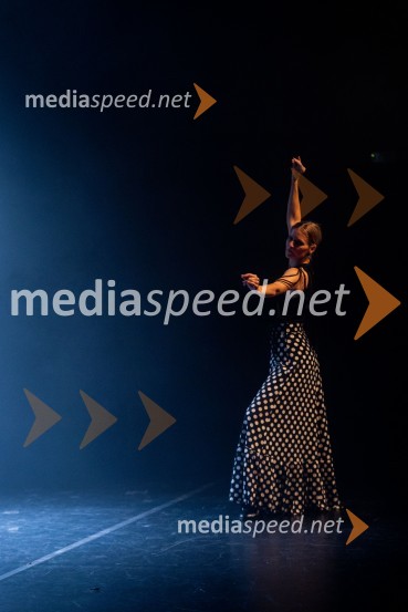 Odlaganje spominov, plesno glasbena suita