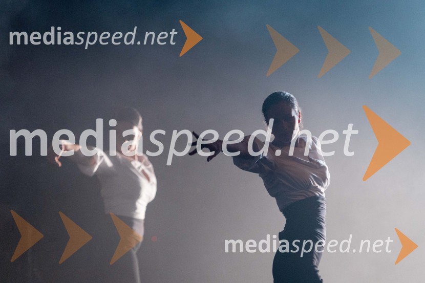 Odlaganje spominov, plesno glasbena suita