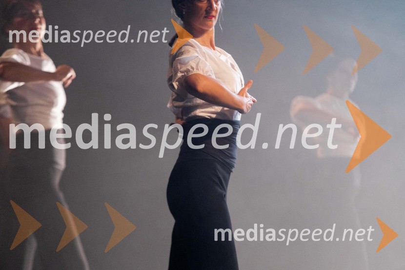 Odlaganje spominov, plesno glasbena suita