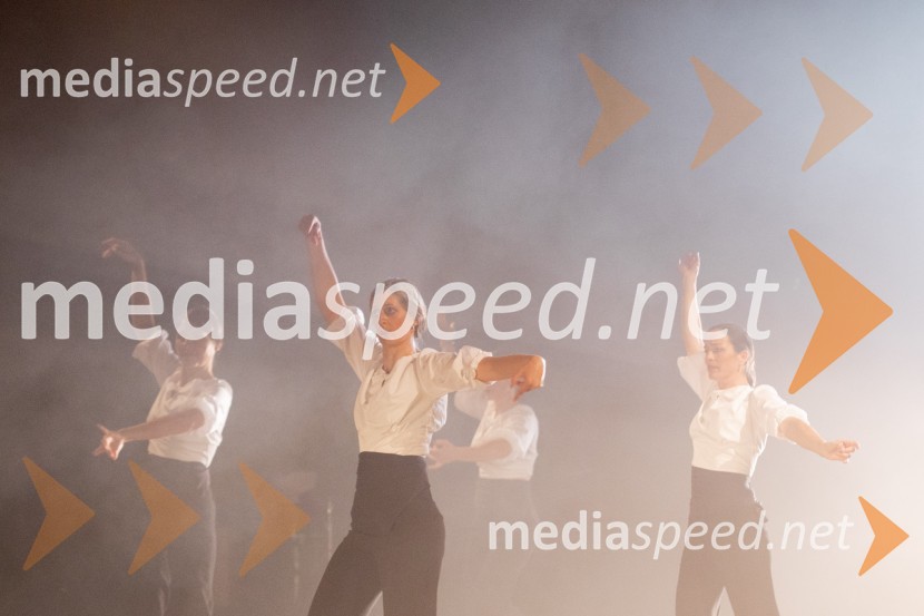 Odlaganje spominov, plesno glasbena suita