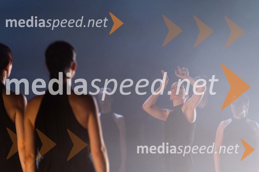 Odlaganje spominov, plesno glasbena suita