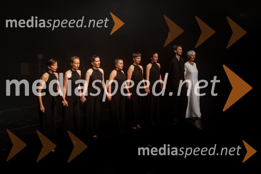 Odlaganje spominov, plesno glasbena suita