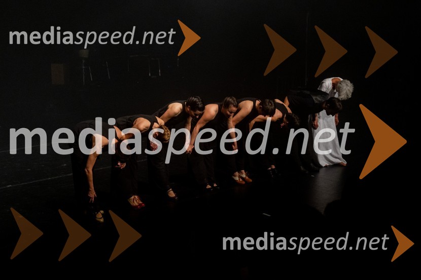 Odlaganje spominov, plesno glasbena suita