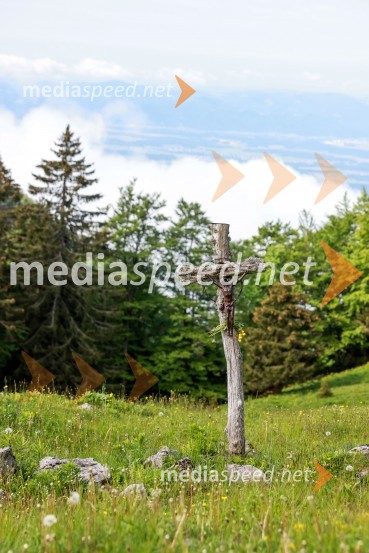 Volkswagen Amarok, predstavitev