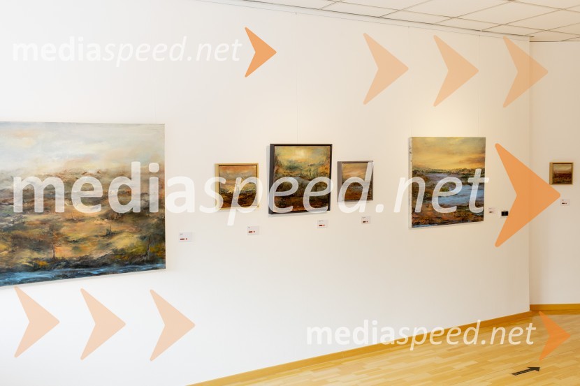 Apolonija Simon z razstavo Globine vidnega v galeriji Generali