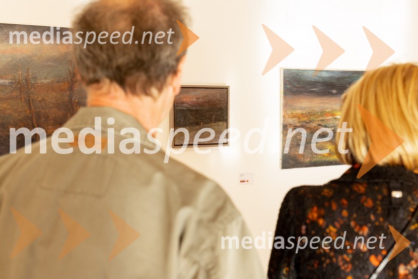 Apolonija Simon z razstavo Globine vidnega v galeriji Generali