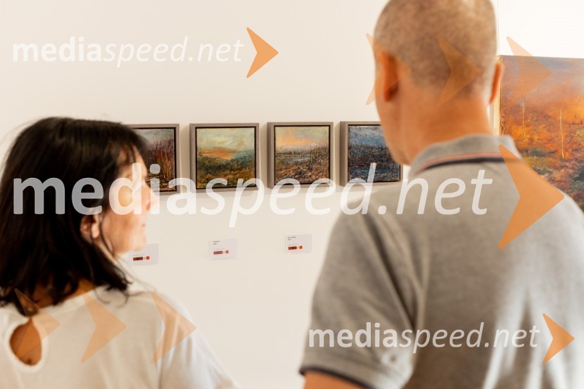 Apolonija Simon z razstavo Globine vidnega v galeriji Generali