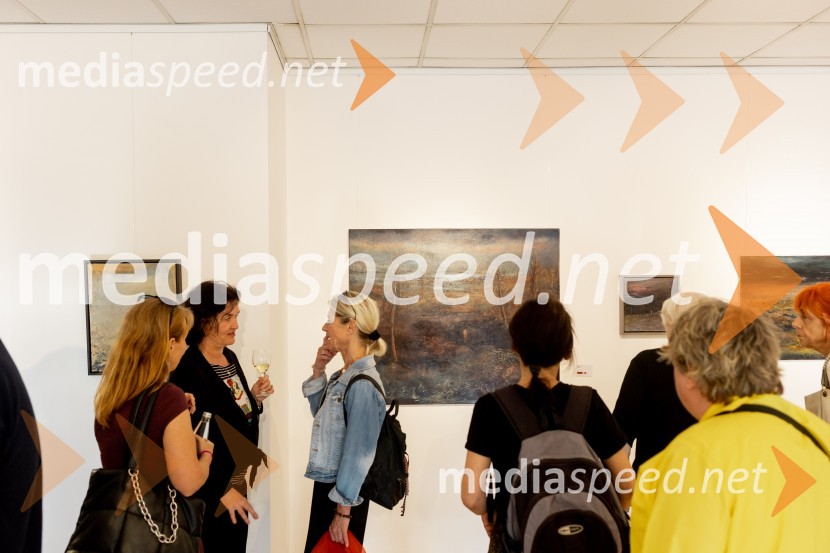 Apolonija Simon z razstavo Globine vidnega v galeriji Generali