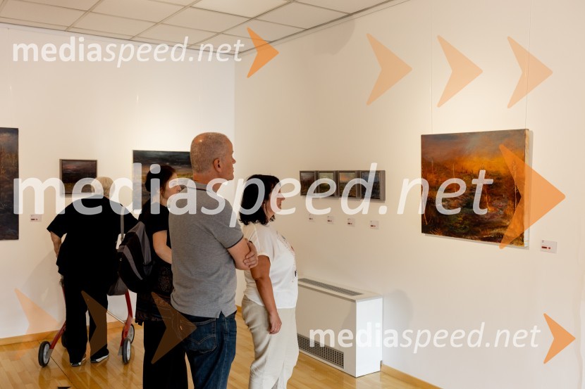 Apolonija Simon z razstavo Globine vidnega v galeriji Generali